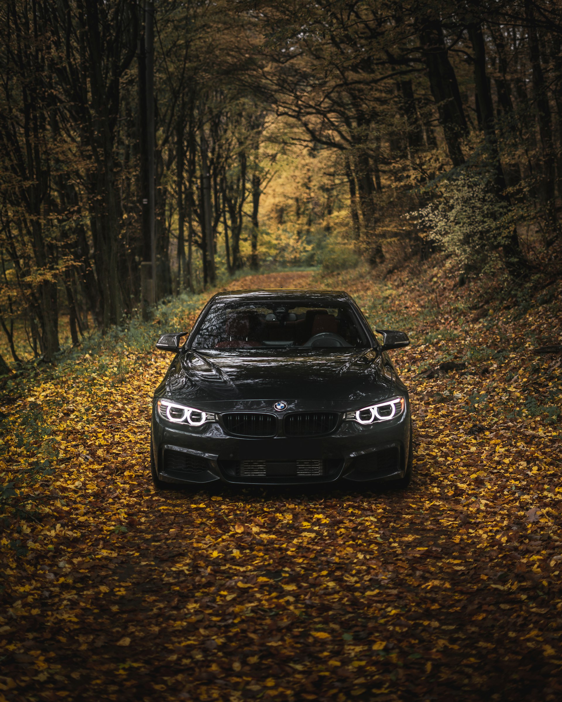 2022 BMW M8 Competition Gran Coupe